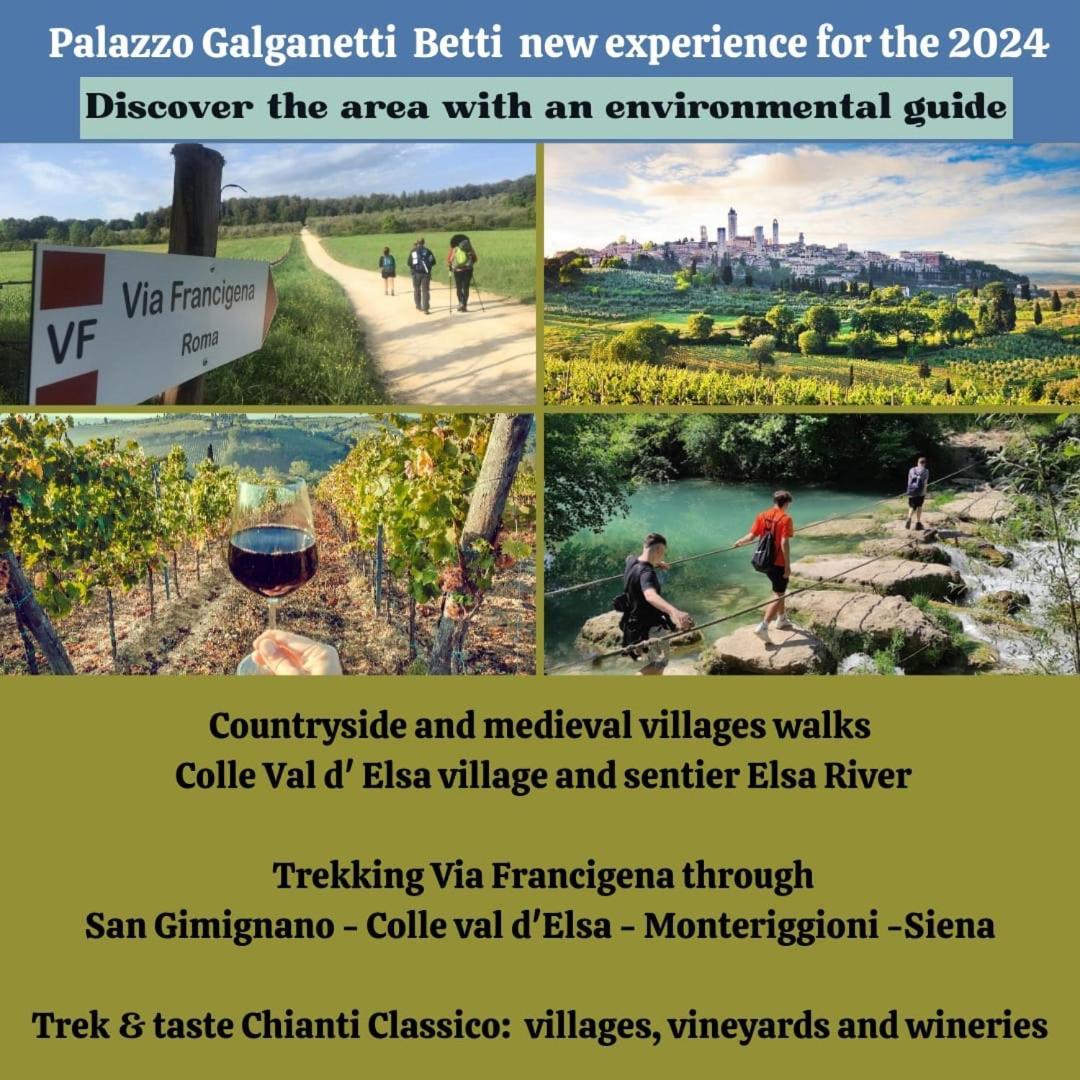Palazzo Galganetti Betti Villa Colle Val D'Elsa Eksteriør bilde
